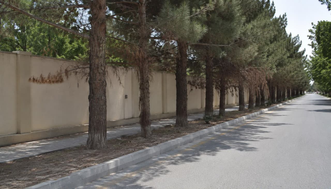 Göyçayda yaşıllığa qarşı "soyqırım"la bağlı araşdırma başladı  - 1 nəfər saxlanıldı 