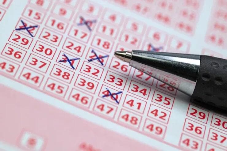 Magistratura üzrə ixtisas seçiminin nəticələri açıqlandı