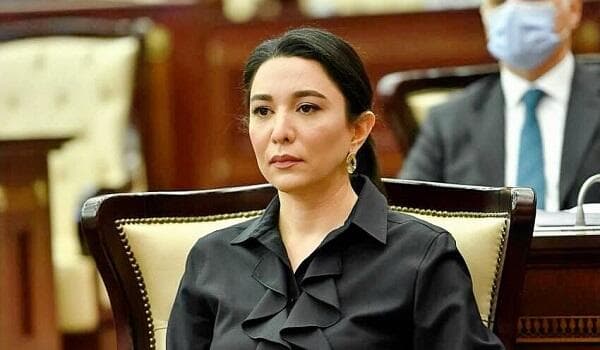 Ombudsmandan beynəlxalq təşkilatlara çağırış