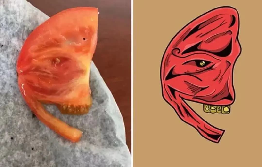 Cansız cisimlərdə gizlənən üzlər – Pareidoliya nədir? 
