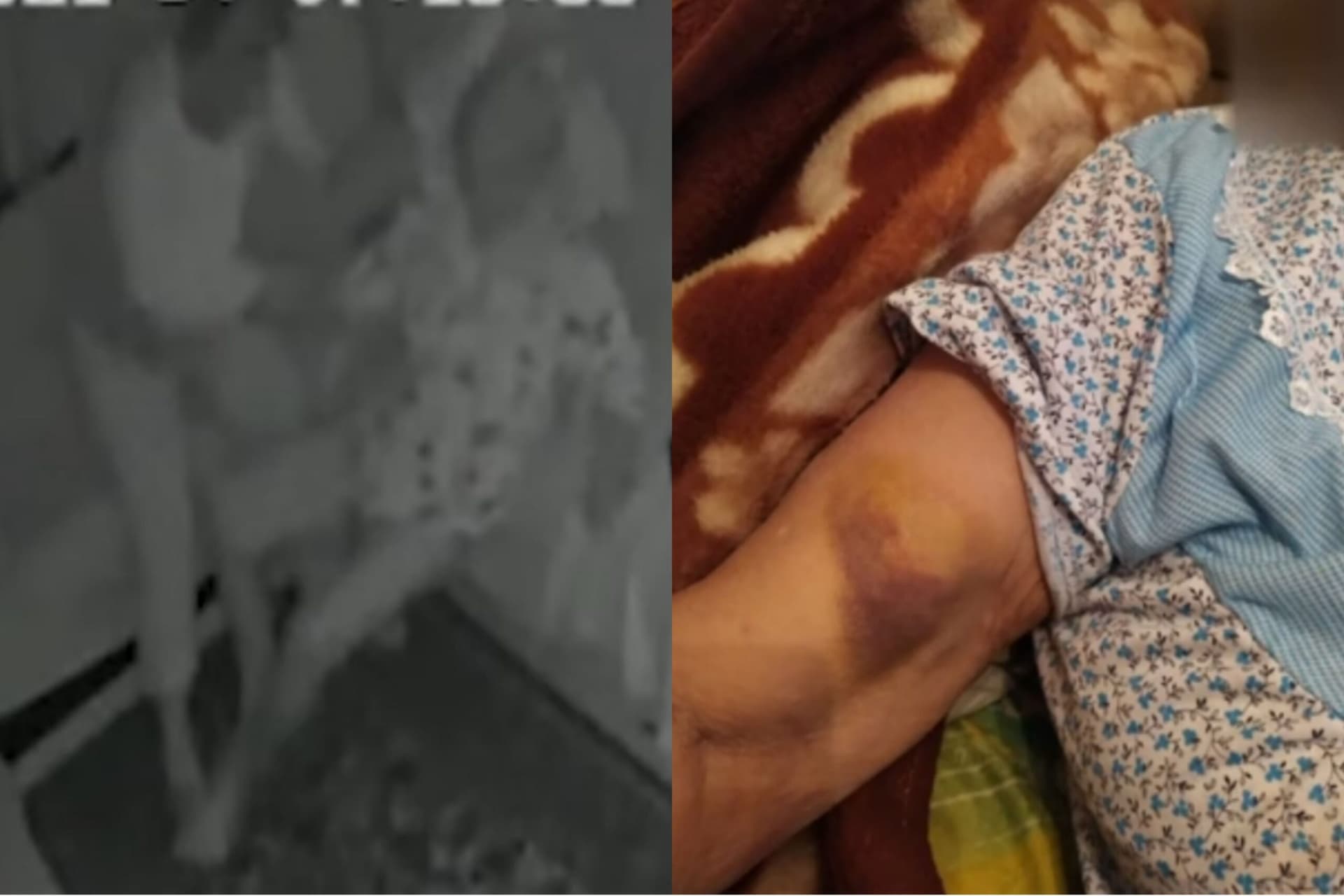 Yaşlı qadını döyən baxıcıya cinayət işi açıldı – Rəsmi Yaşlı qadını döyən baxıcıya cinayət işi açıldı – Rəsmi