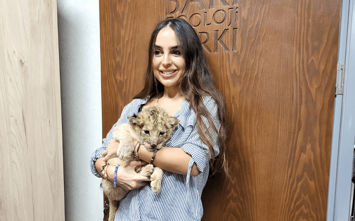 Bakı Zooparkında şir balası DOĞULDU Bakı Zooparkında şir balası DOĞULDU