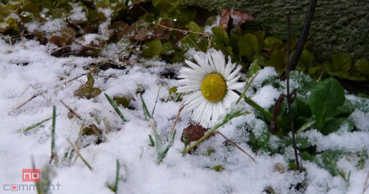 Qar yağacaq, şimşək çaxacaq – Hava proqnozu Qar yağacaq, şimşək çaxacaq – Hava proqnozu
