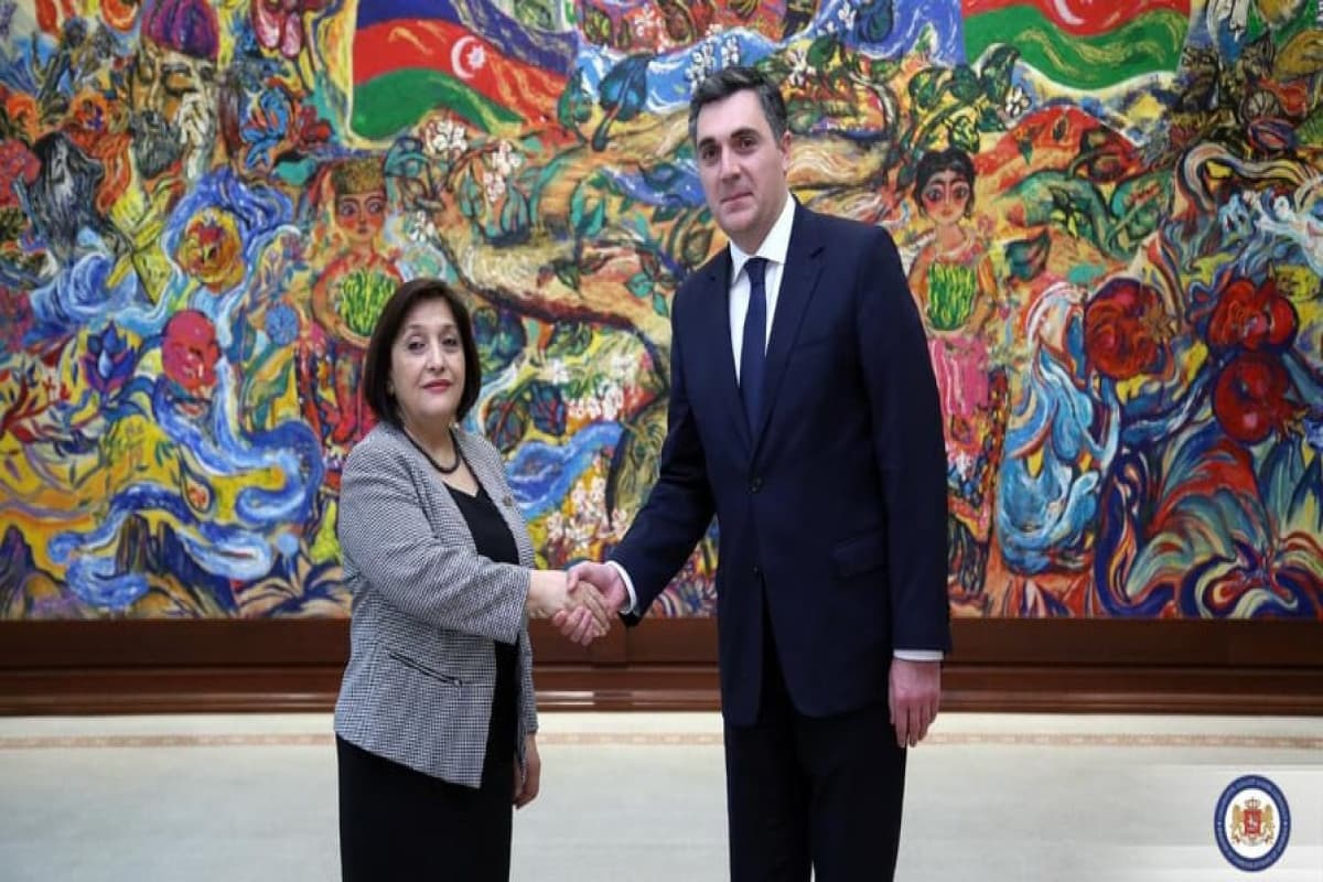 Gürcüstan XİN rəhbəri Sahibə Qafarova ilə görüşdü – FOTO Gürcüstan XİN rəhbəri Sahibə Qafarova ilə görüşdü – FOTO