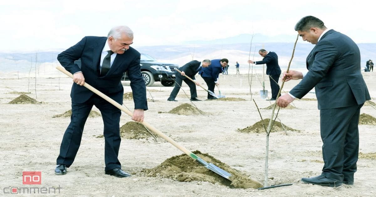 Naxçıvanda suyu kəsib, iməcilikdə əkilən ağacları suvarırlar Naxçıvanda suyu kəsib, iməcilikdə əkilən ağacları suvarırlar