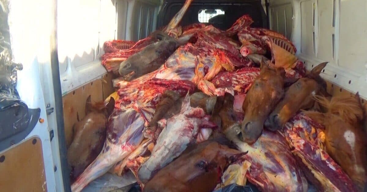Bakıda mənşəyi məlum olmayan ət aşkarlandı Bakıda mənşəyi məlum olmayan ət aşkarlandı