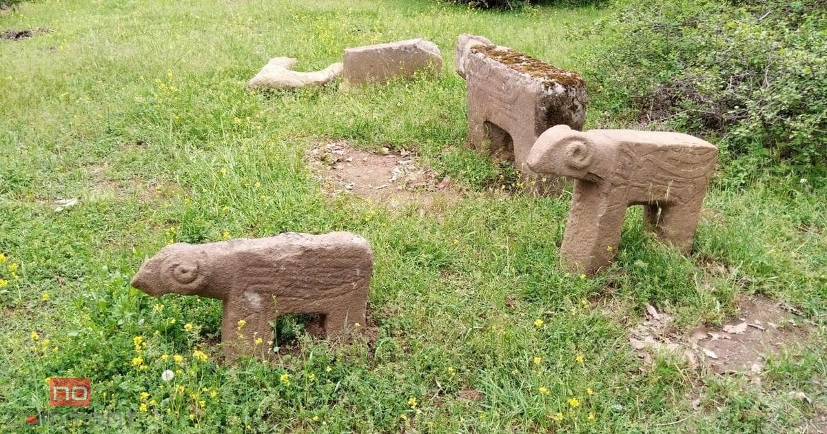 Azərbaycanda ilk dəfə daş buğa fiqurları aşkarlanıb Azərbaycanda ilk dəfə daş buğa fiqurları aşkarlanıb