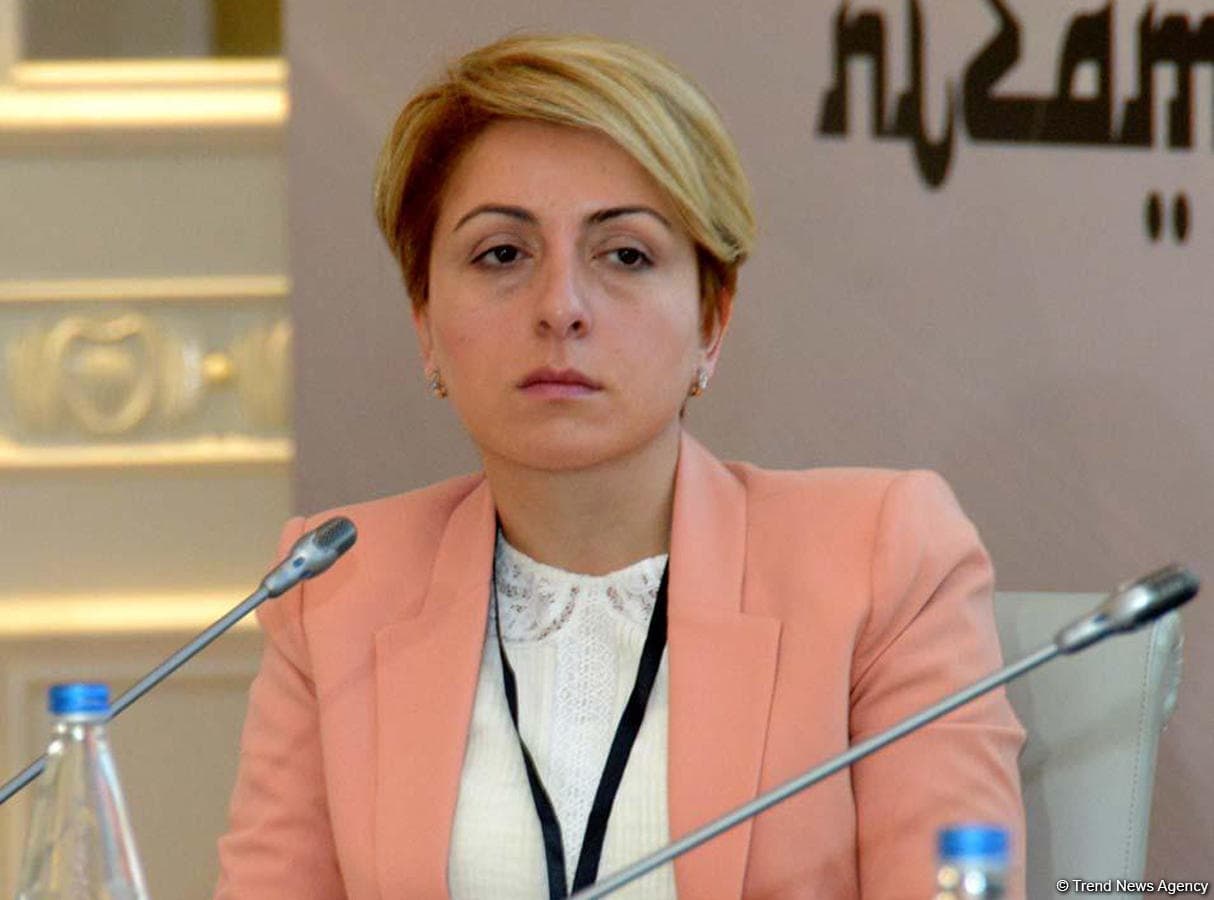 Qonşu ölkəyə təcavüz cəzasız qalmamalıdır – Tkeşelaşvili Qonşu ölkəyə təcavüz cəzasız qalmamalıdır – Tkeşelaşvili