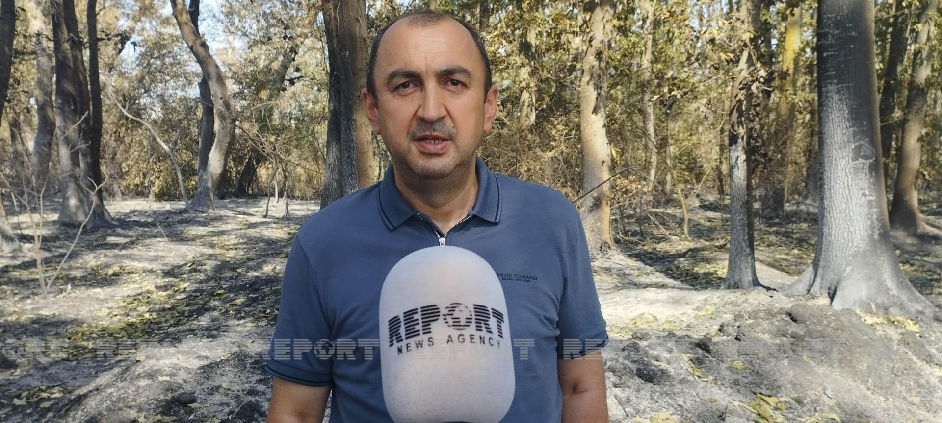 Nazir müavinindən sərt cəza tələbi: “50 il lazımdır“ Nazir müavinindən sərt cəza tələbi: “50 il lazımdır“