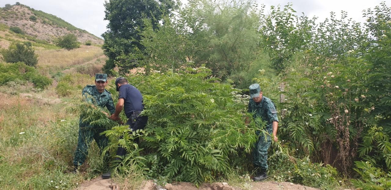 İran vətəndaşı Zəngilanda sərhədi pozdu – RƏSMİ İran vətəndaşı Zəngilanda sərhədi pozdu – RƏSMİ