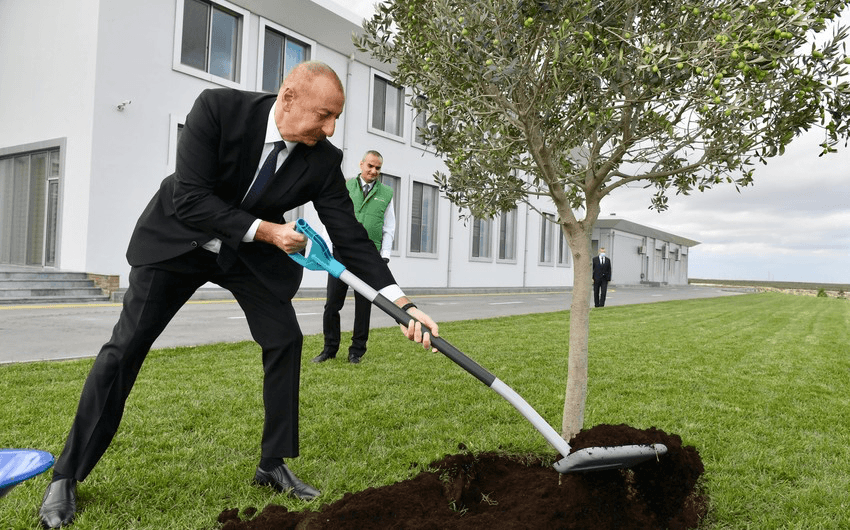 Minlərlə iş yeri yaratmaq planlarımız var – Prezident Minlərlə iş yeri yaratmaq planlarımız var – Prezident