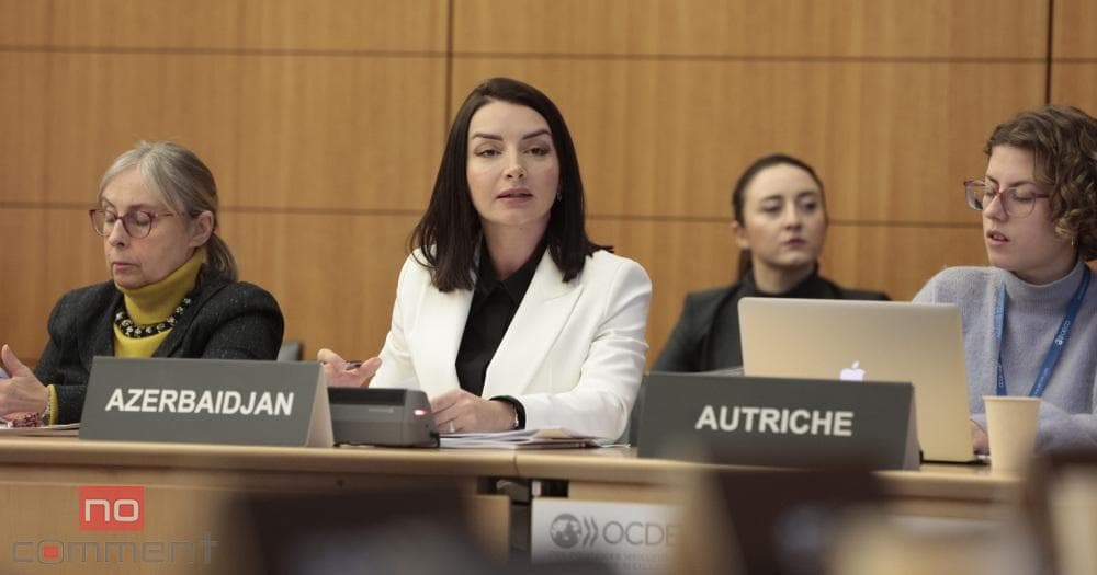 Leyla Abdullayeva: Hər dəfə saziş imzalamağa yaxınlaşanda… Leyla Abdullayeva: Hər dəfə saziş imzalamağa yaxınlaşanda…