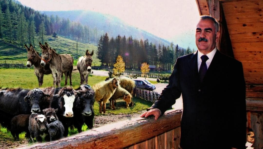 Talıbovun dövründə Naxçıvanda heyvanların sayı da şişirdilib – Məqsəd nə olub? Talıbovun dövründə Naxçıvanda heyvanların sayı da şişirdilib – Məqsəd nə olub?