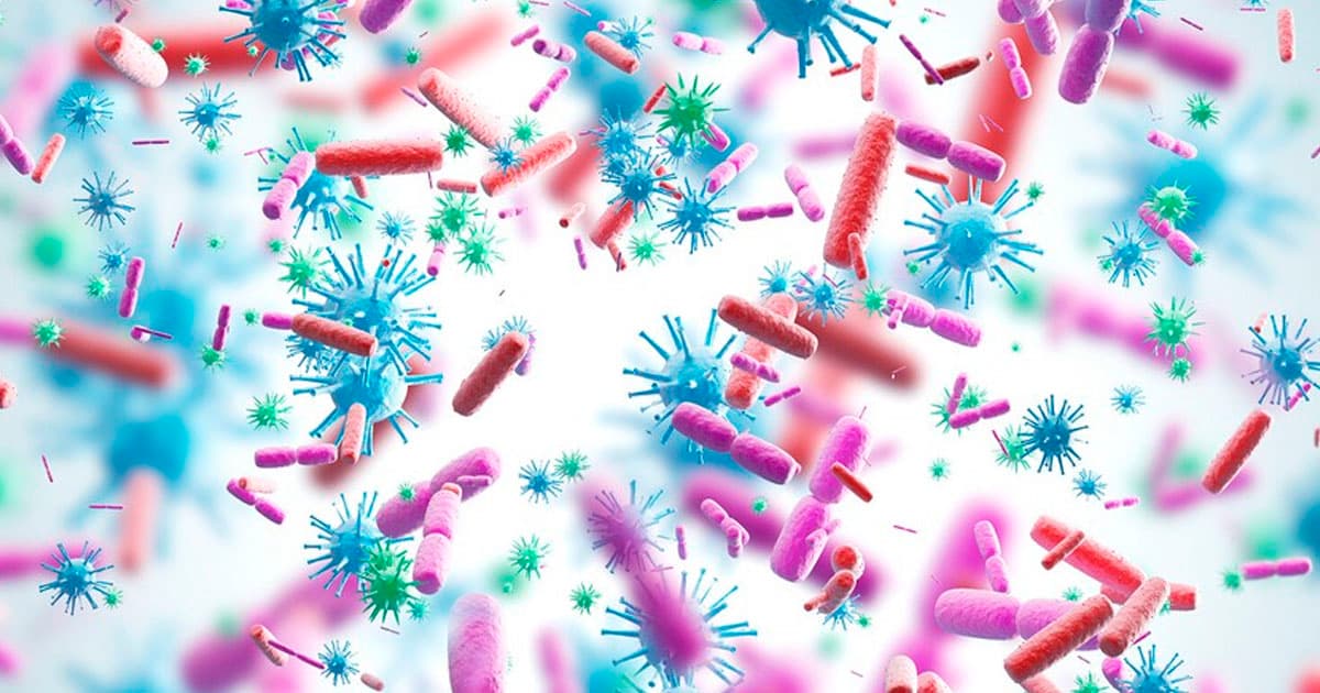 Bu ölkədə yeni virus yayılır Bu ölkədə yeni virus yayılır
