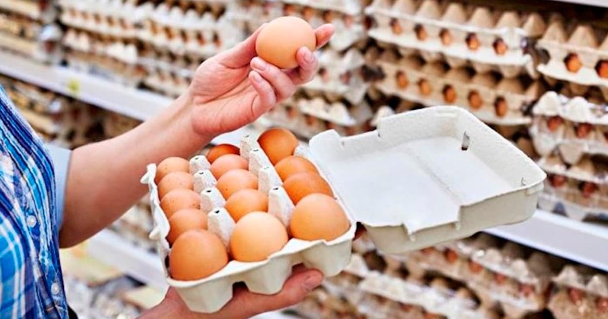 Azərbaycanda yumurta niyə bahalaşıb? – 5 ƏSAS SƏBƏB Azərbaycanda yumurta niyə bahalaşıb? – 5 ƏSAS SƏBƏB