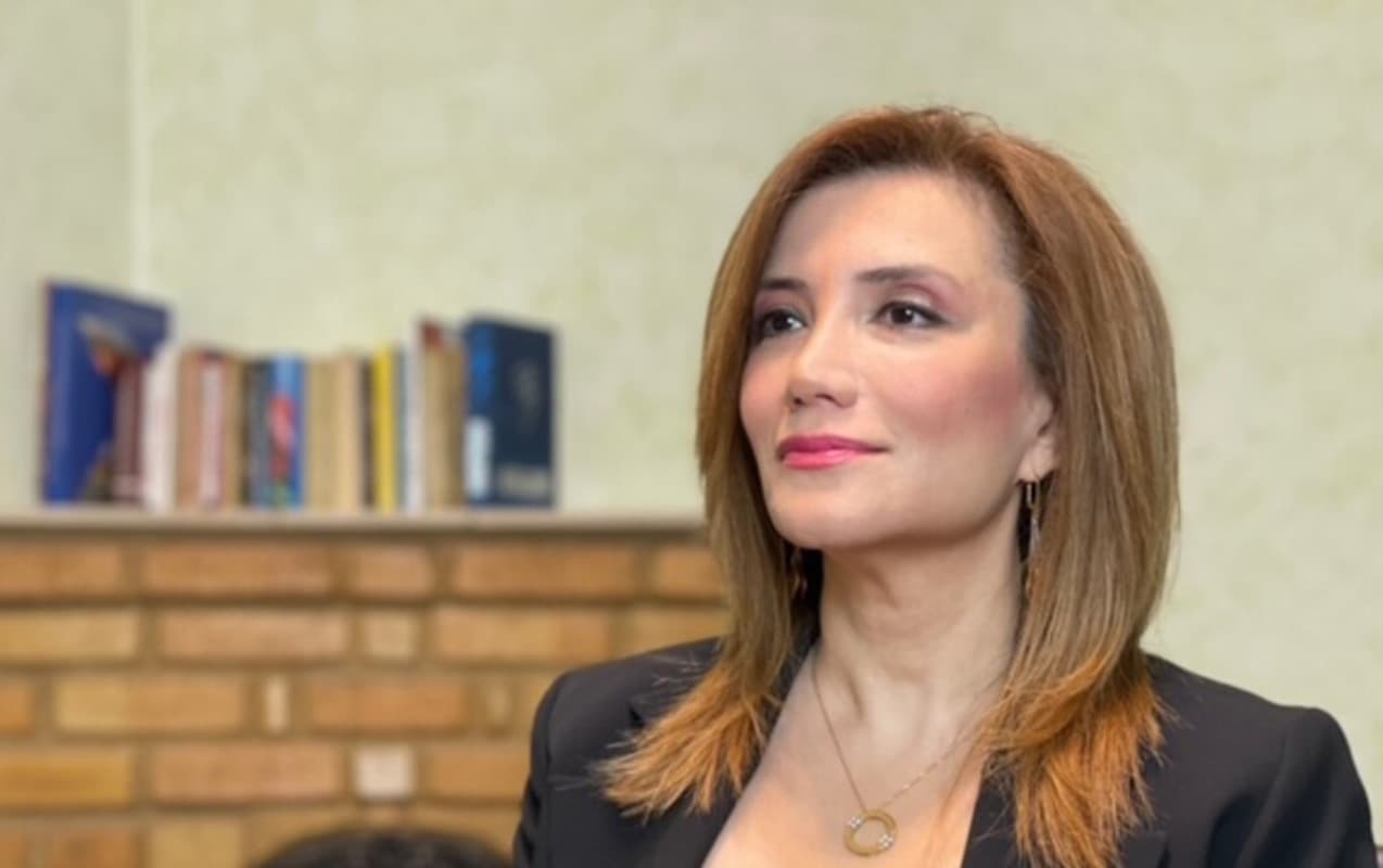 Gültəkin Hacıbəylini Türkiyə niyə deport etdi? Gültəkin Hacıbəylini Türkiyə niyə deport etdi?
