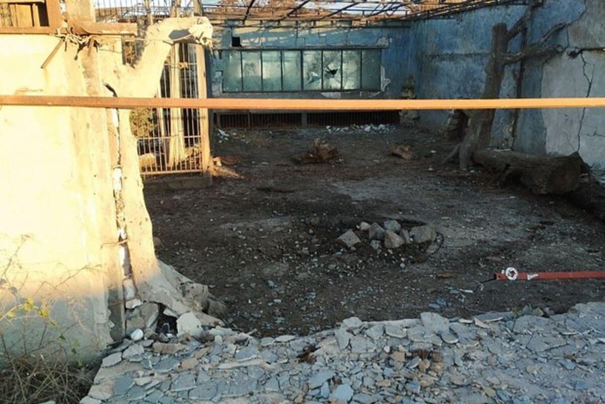Ukrayna Silahlı Qüvvələri Rusiyada zooparka hücum ediblər Ukrayna Silahlı Qüvvələri Rusiyada zooparka hücum ediblər