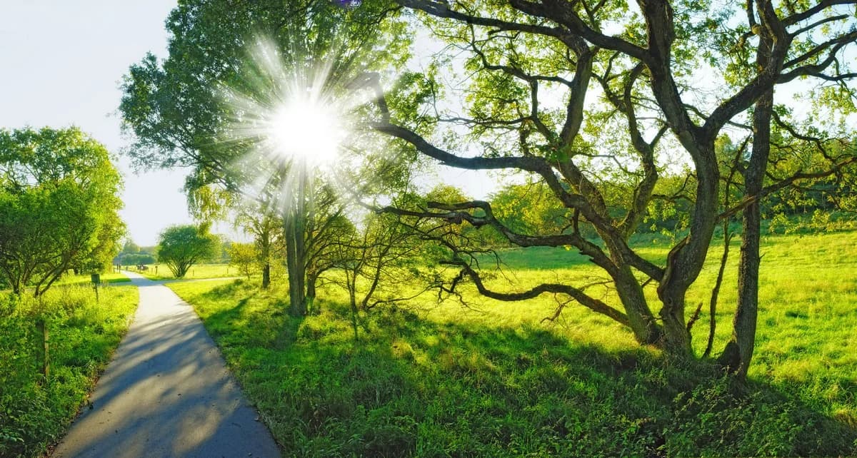 Sabahın hava proqnozu açıqlandı Sabahın hava proqnozu açıqlandı