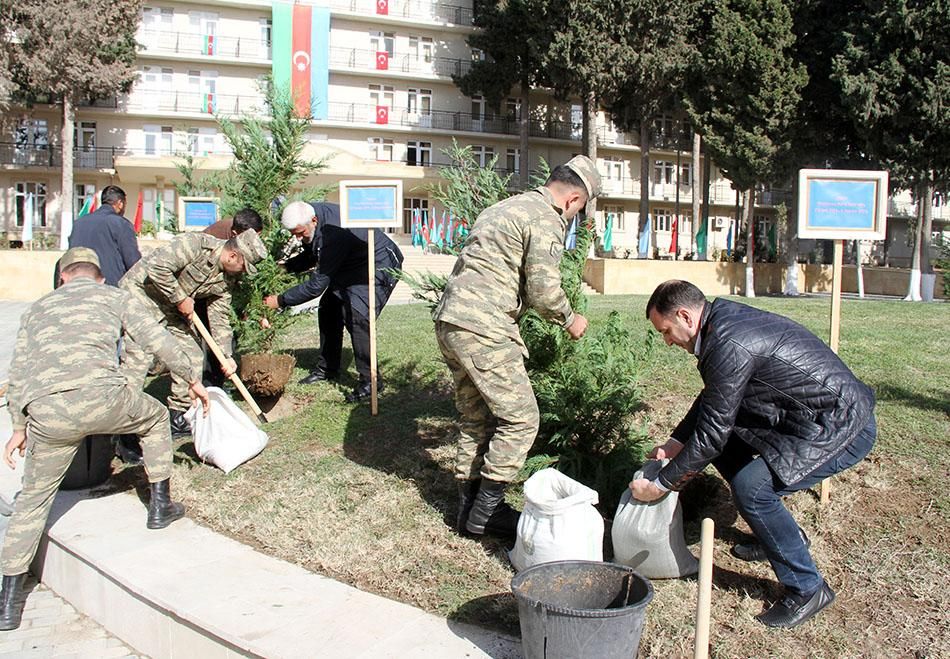 "Hər şəhid adına bir ağac əkək” adlı aksiya keçirildi - VİDEO - FOTOLAR
