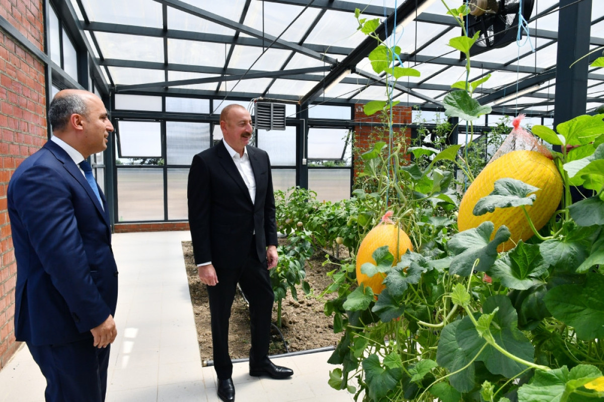 Prezident Cəlilabad rayonunda olub, Peşə Təhsil Mərkəzinin açılışında iştirak edib - FOTO - YENİLƏNİB