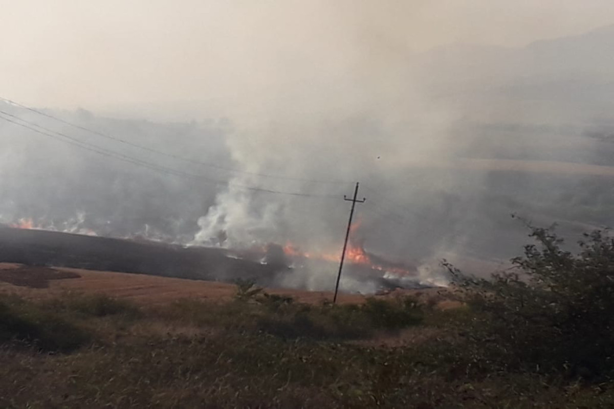 Ağsuda yanğıntörətmə faktının üstü açılıb - FOTO 