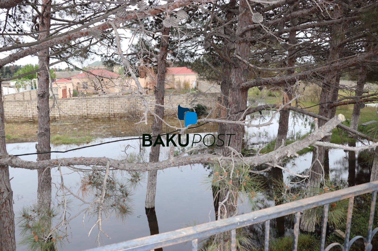Bakupost.az