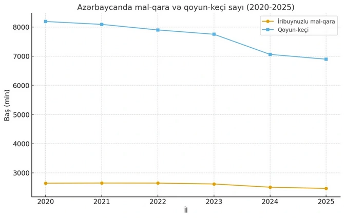 Azərbaycanda ətin bahalaşması davam edəcəkmi? Azərbaycanda ətin bahalaşması davam edəcəkmi?