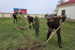 FHN-in Aran Regional Mərkəzi ağacəkmə aksiyası keçirib