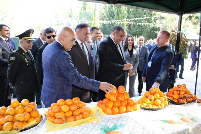 DTX tərəfindən saxlanılan icra başçısının son GÖRÜNTÜLƏRİ