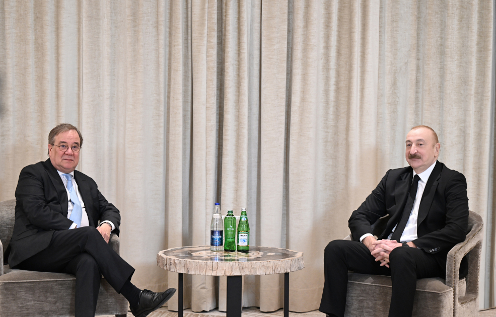 Prezident Bundestaqın xarici siyasət komitəsinin sədri ilə görüşdü (FOTO)