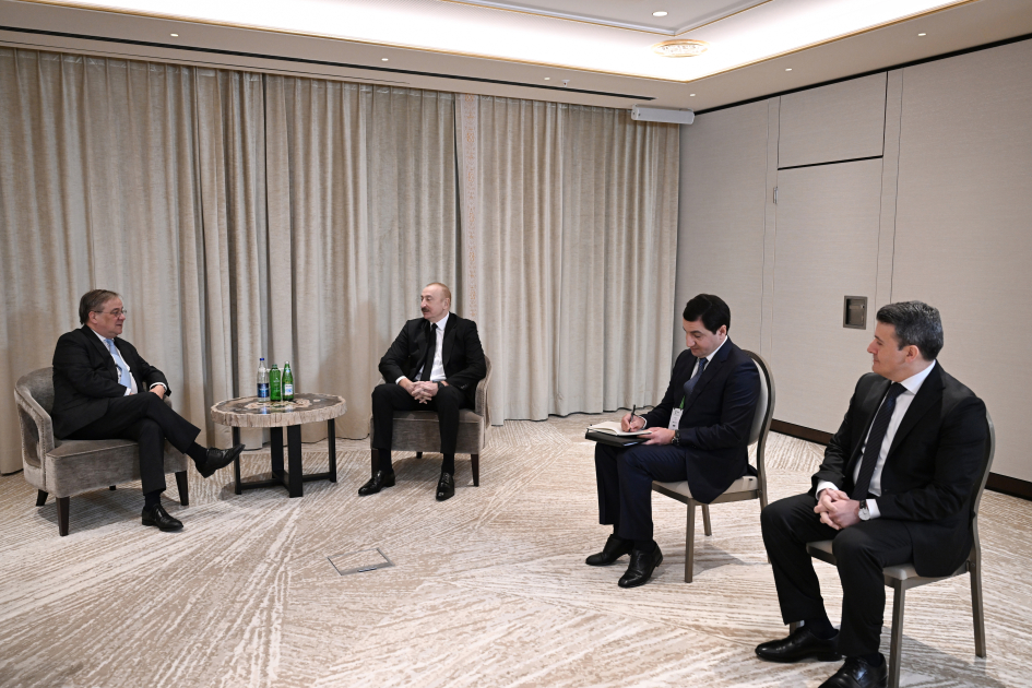 Prezident Bundestaqın xarici siyasət komitəsinin sədri ilə görüşdü (FOTO)