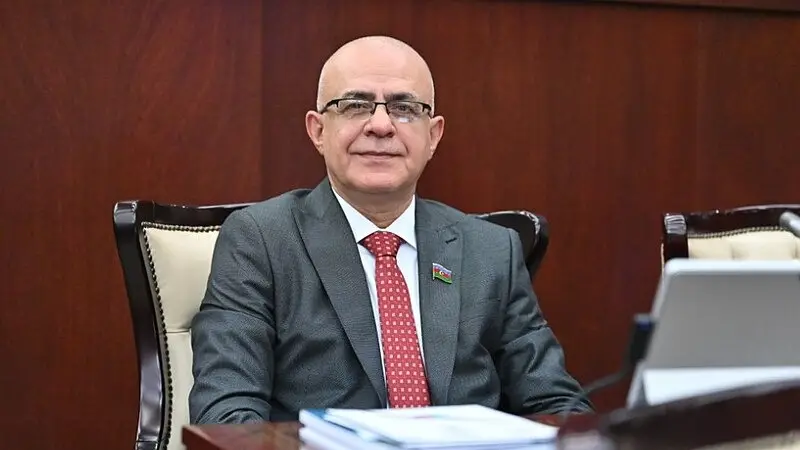 Elçin Mirzəbəyli ƏHD Partiyasından ayrıldı | İqtisadiyyat.az