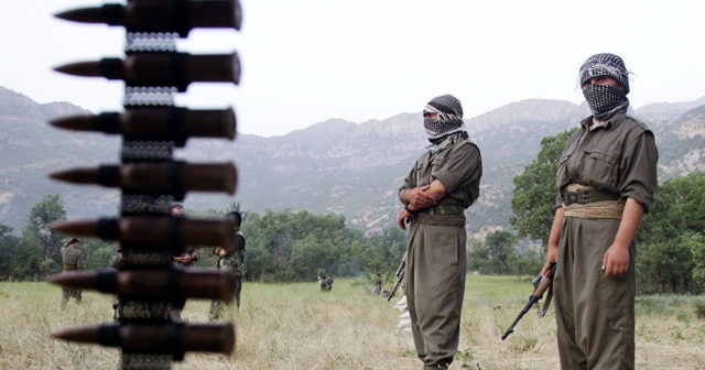 2 PKK terrorçusu zərərsizləşdirildi