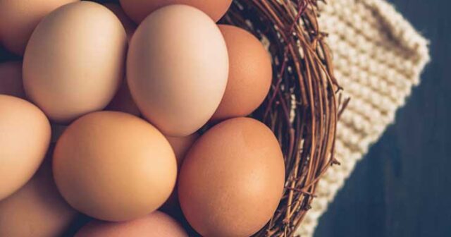 Yumurtanın qiyməti qalxacaq? – AÇIQLAMA