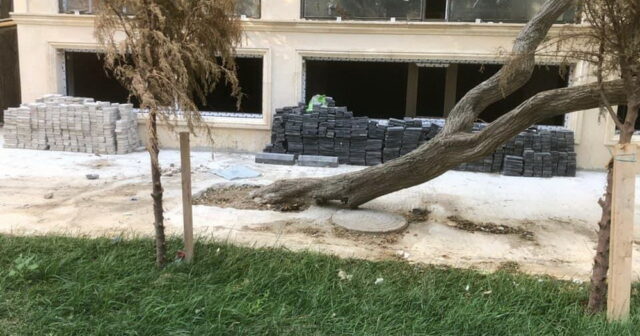 Nərimanov rayonunda ağacın dibi betondan təmizlənib