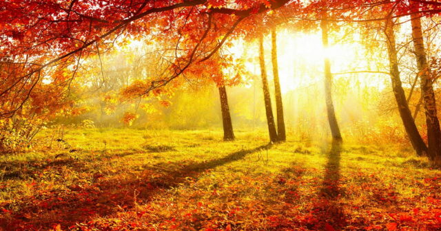 Noyabrda havaların mülayim keçməsinin səbəbi Noyabrda havaların mülayim keçməsinin səbəbi