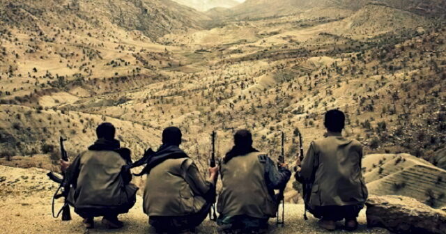 Terror təşkilatı PKK-ya qarşı əməliyyat keçirildi