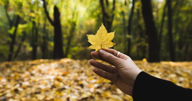 Sabah hava necə olacaq? Sabah hava necə olacaq?