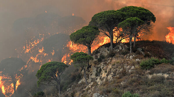İtaliyada meşəni 80 yaşlı kişinin yandırdığı iddia olunur