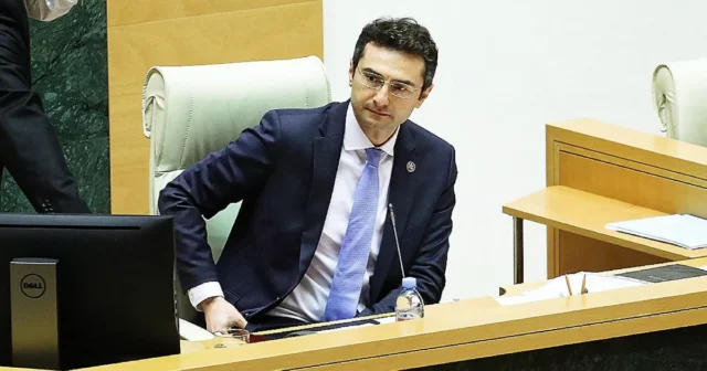 Gürcüstan parlamentinin sədri istefa verib