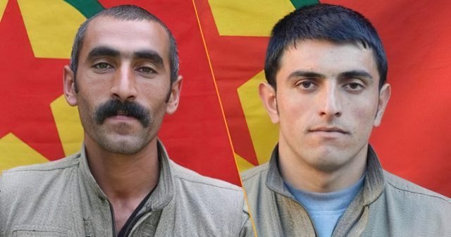 Ermənistan kürd terrorçuları niyə Türkiyəyə verdi?