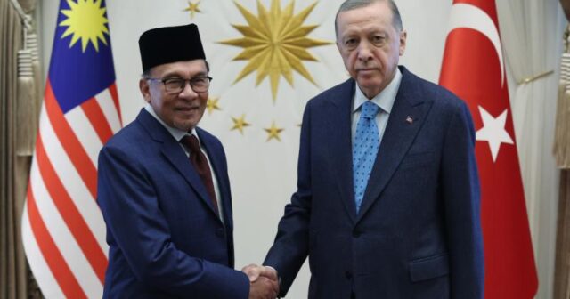 Türkiyə prezidenti  və Malayziyanın baş naziri görüşüb