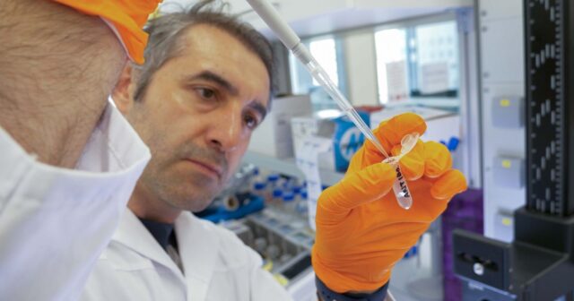 Xərçəngdə yeni çarə – Türk professorun kəşfi