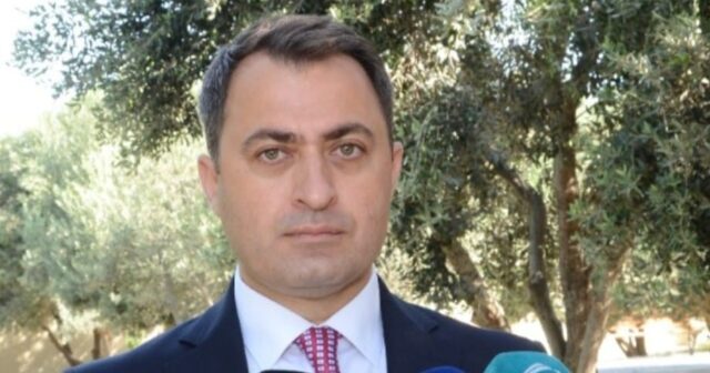 Nizami rayonunda ağacların soyqırımına kim himayədarlıq edir? – FOTO/VİDEO