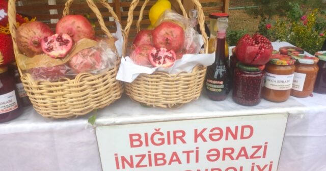 Göyçayda Nar Festivalına start verildi – FOTOLAR