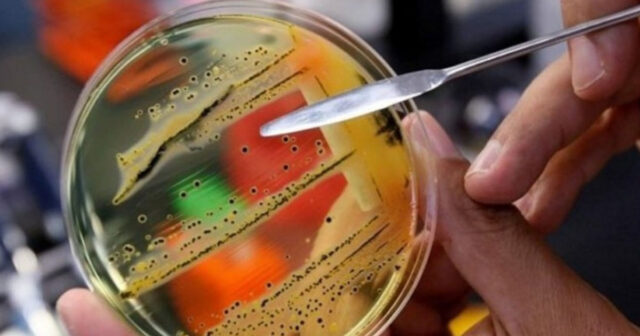 Kanadada epidemiya yayılıb, ölənlər var