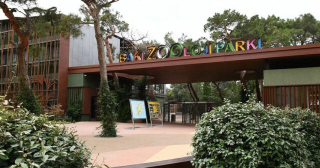 Bakı “Zoopark”ında heyvanlar necə QİDALANIR? – Rəsmi AÇIQLAMA