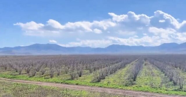 Aqrar şirkətlər qrupu Agro Food İnvestments-nin portfelində daha bir şirkət yaradıldı