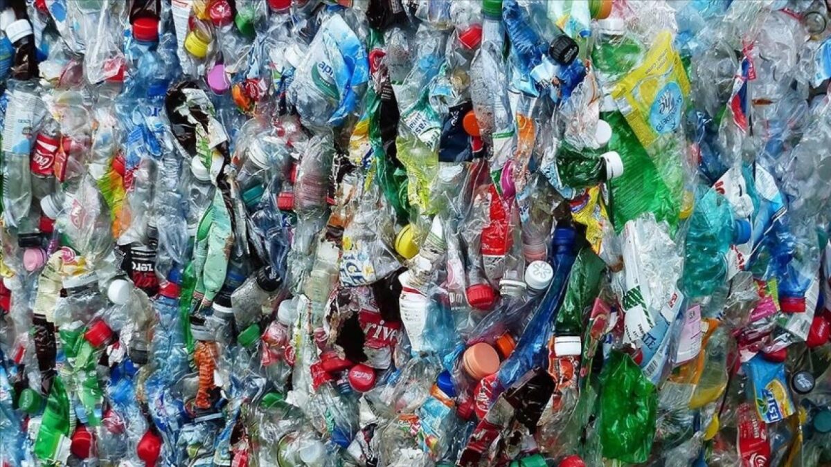 Plastik çirklənmə PROBLEMİ – Kimlər cavabdehdir?