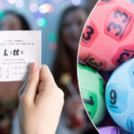 Lotoreyada qazanmağın yolu nədən keçir? – Ekspert məsləhəti